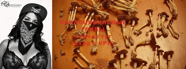 jwh Володарск