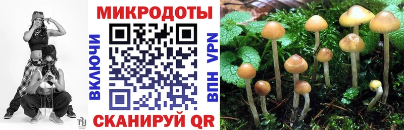 Купить закладки  Костерёво  Галлюциногенные грибы прущие грибы 